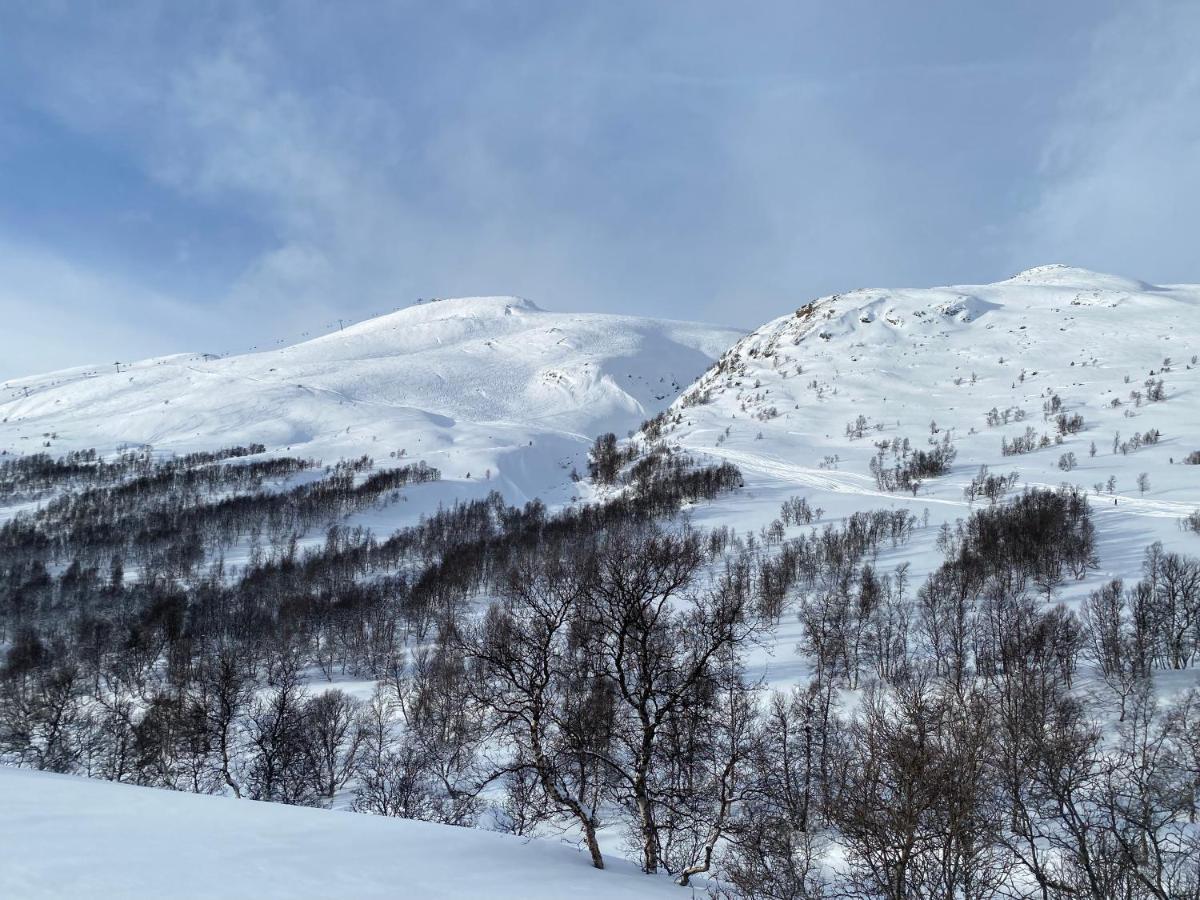 Vangslia, Oppdal. Lekker Leilighet Med Ski Inn/Ski Ut エクステリア 写真